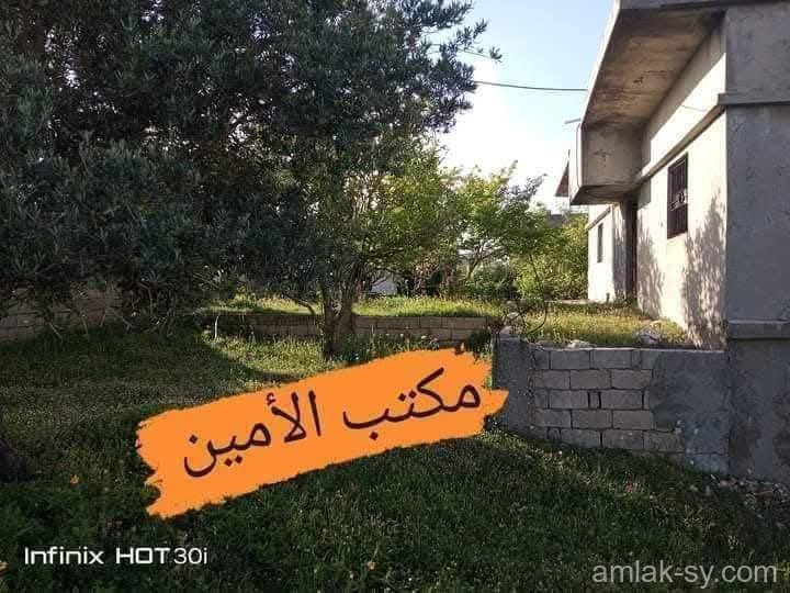 صورة العقار