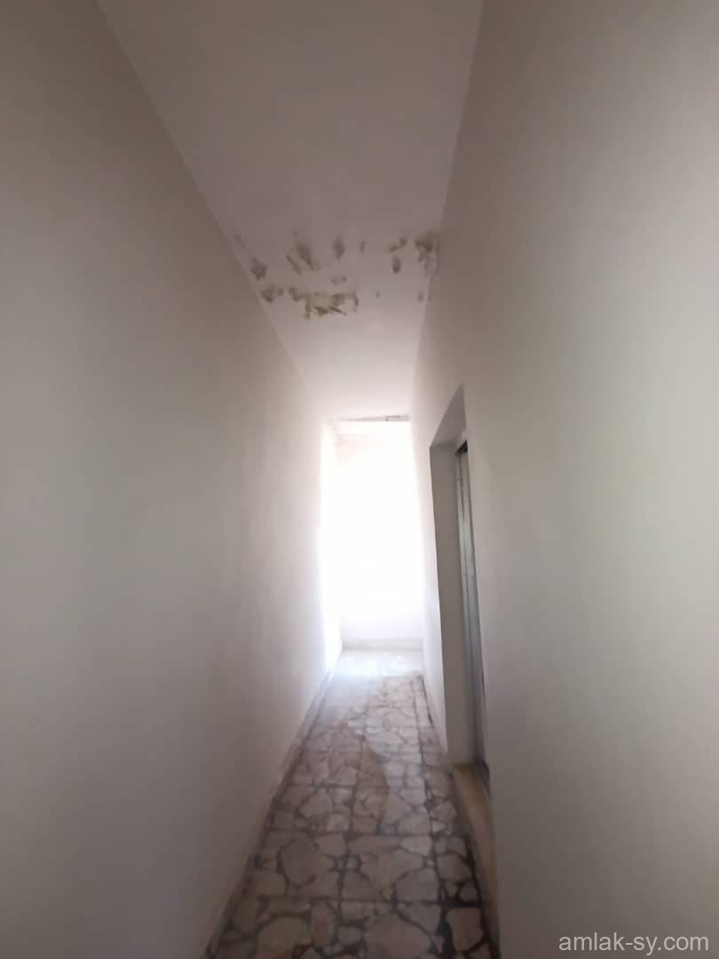 صورة العقار