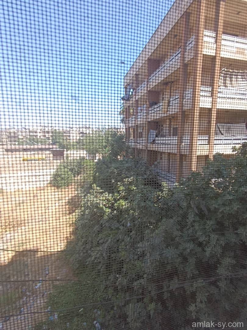 صورة العقار