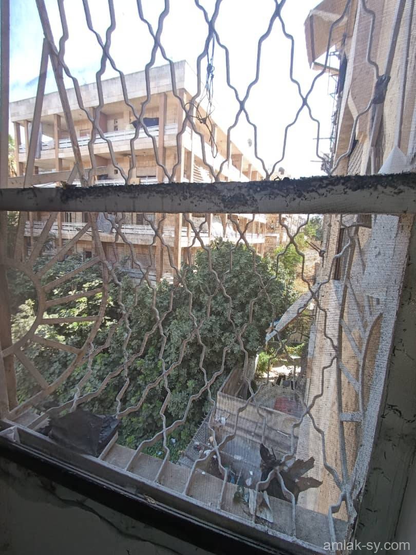 صورة العقار