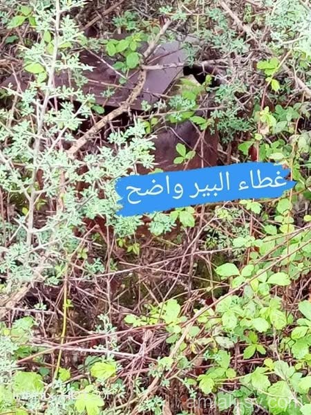 صورة العقار