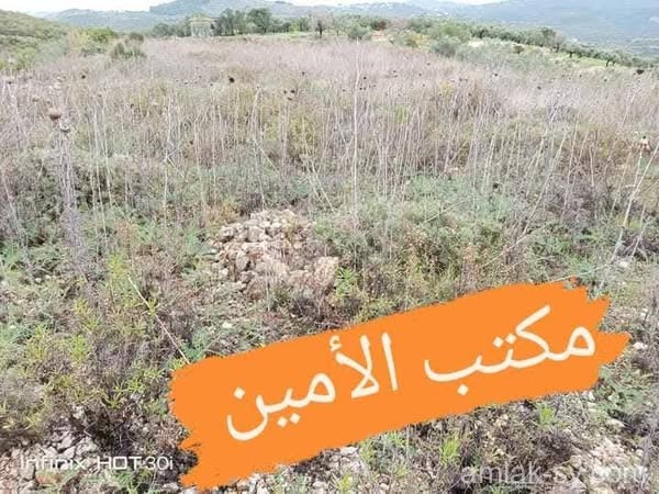 أرض 25 دونم في طرطوس نهر الخوابي