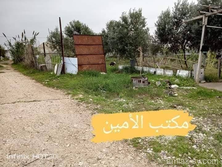 صورة العقار