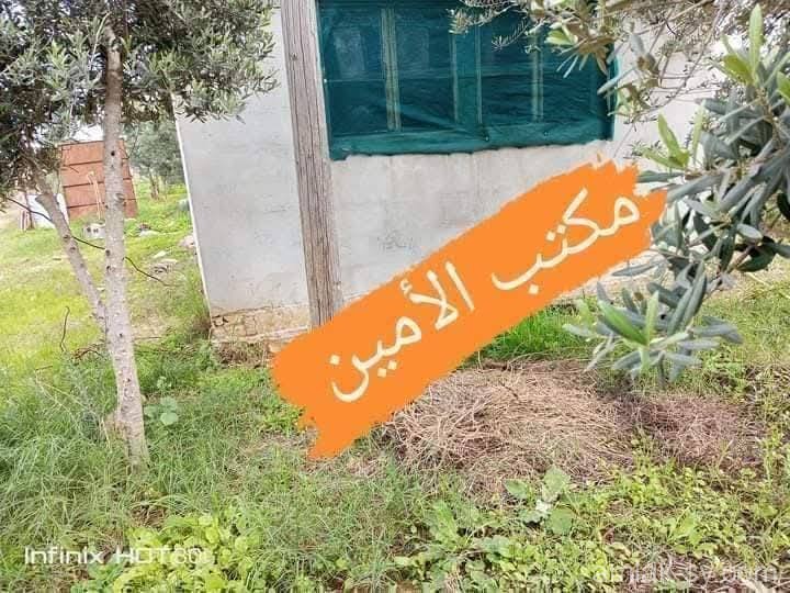 صورة العقار