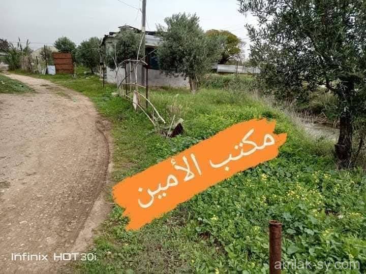 صورة العقار