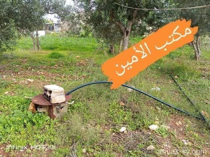 صورة العقار