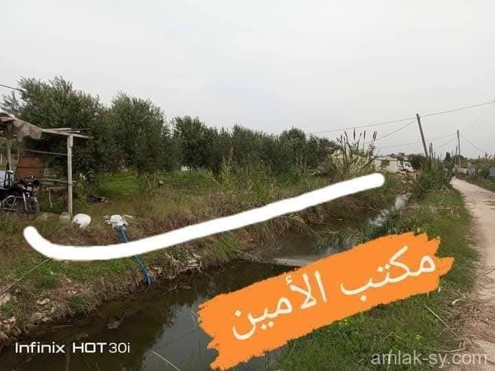 صورة العقار