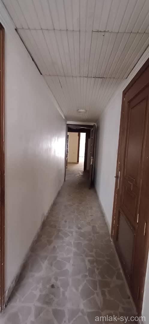صورة العقار