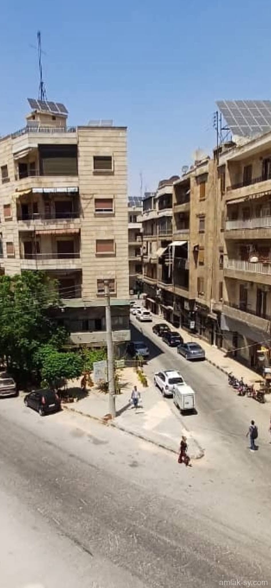 صورة العقار