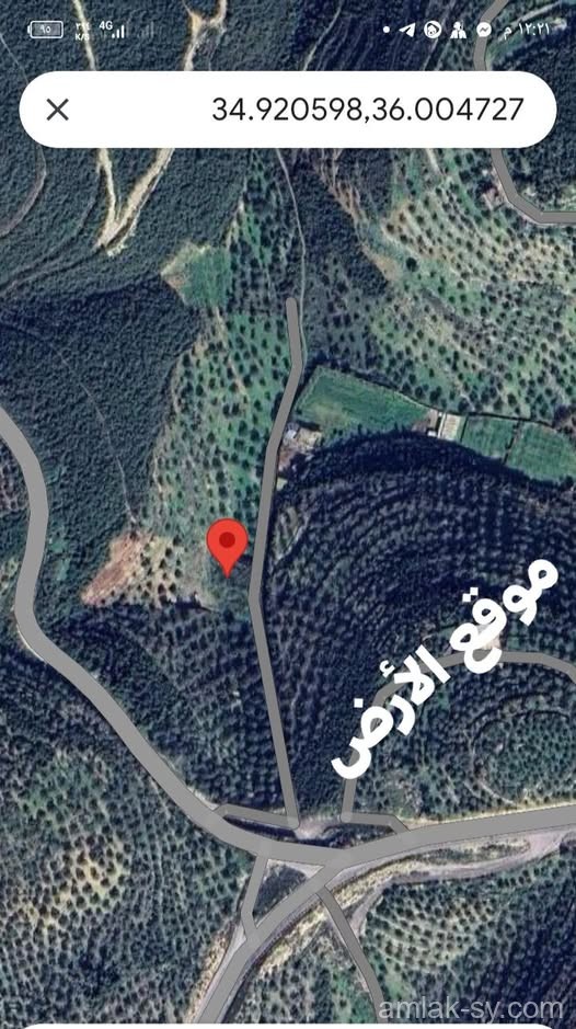  أرض 3دنم مستويه تماماً  في طرطوس مرسحين للبيع