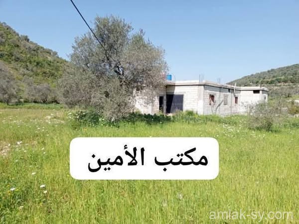 صورة العقار