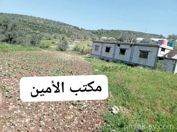 صورة العقار