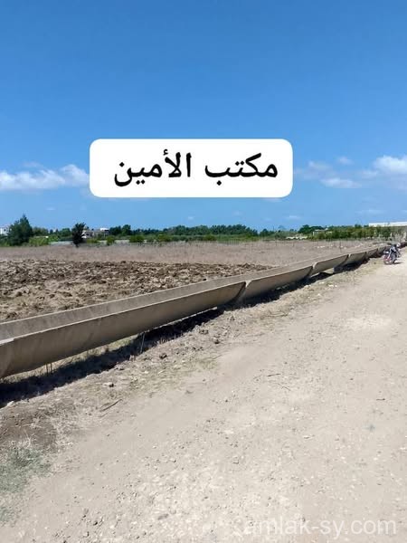 صورة العقار