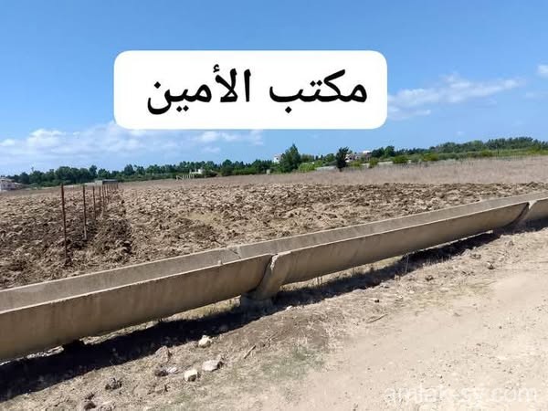 صورة العقار