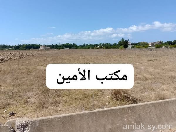 صورة العقار