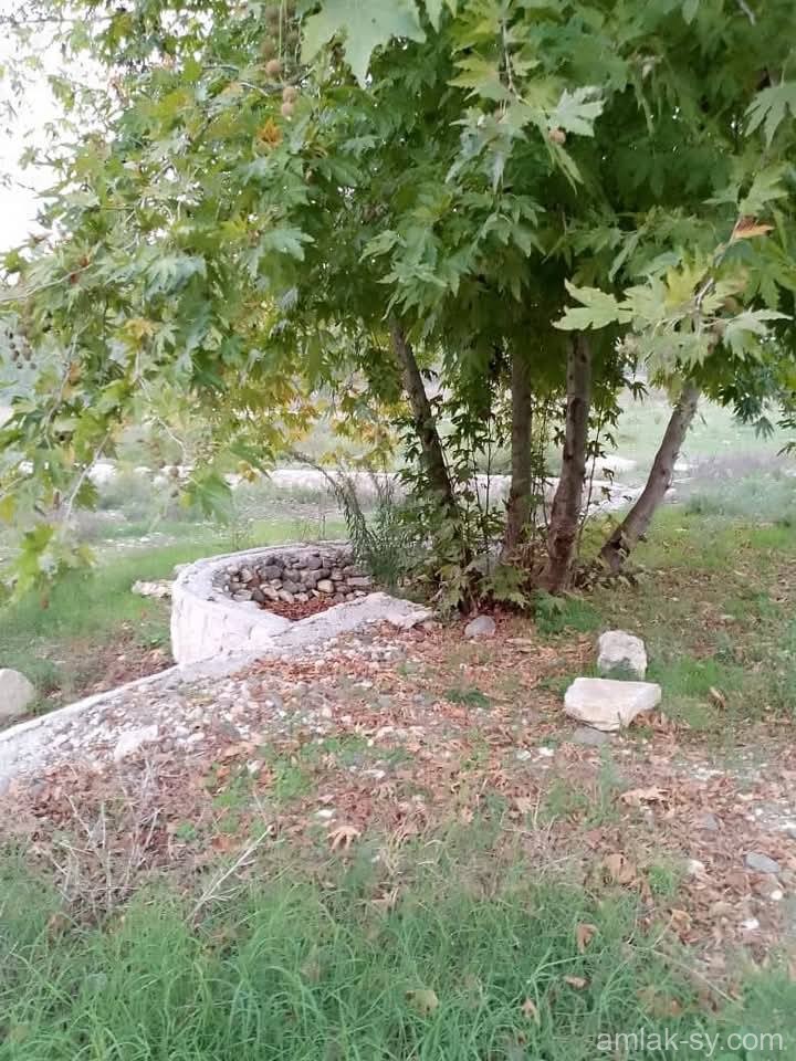 صورة العقار