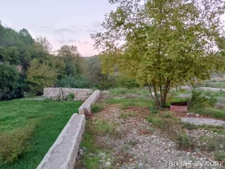 صورة العقار
