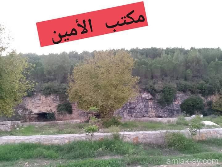 صورة العقار