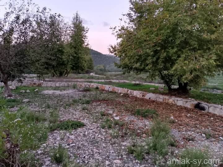 صورة العقار