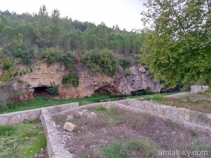 صورة العقار