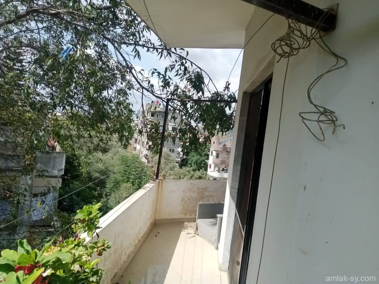 صورة العقار