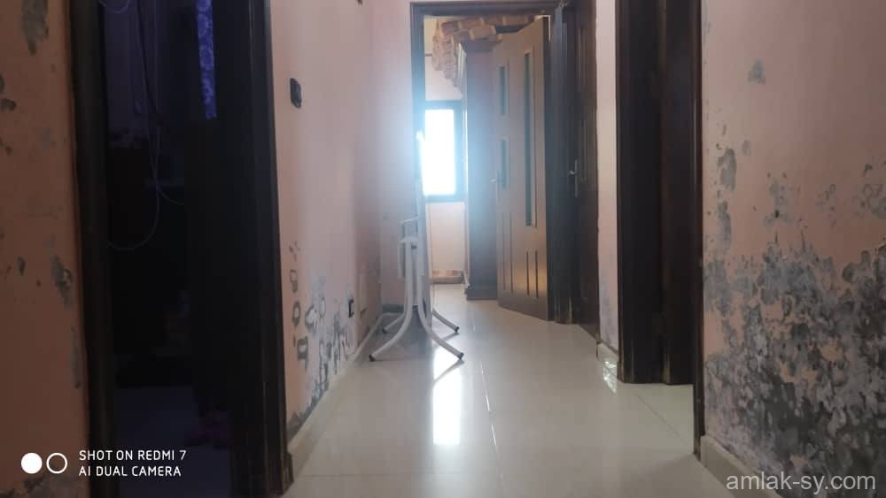 صورة العقار