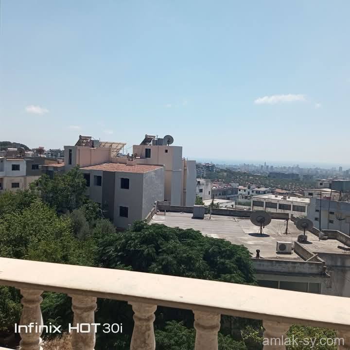 صورة العقار