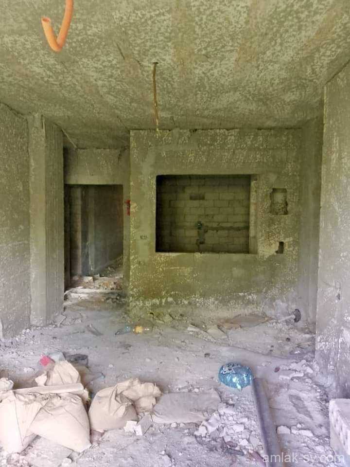 صورة العقار