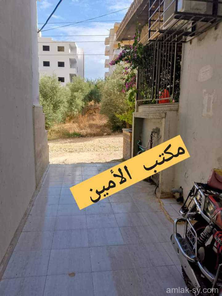 صورة العقار