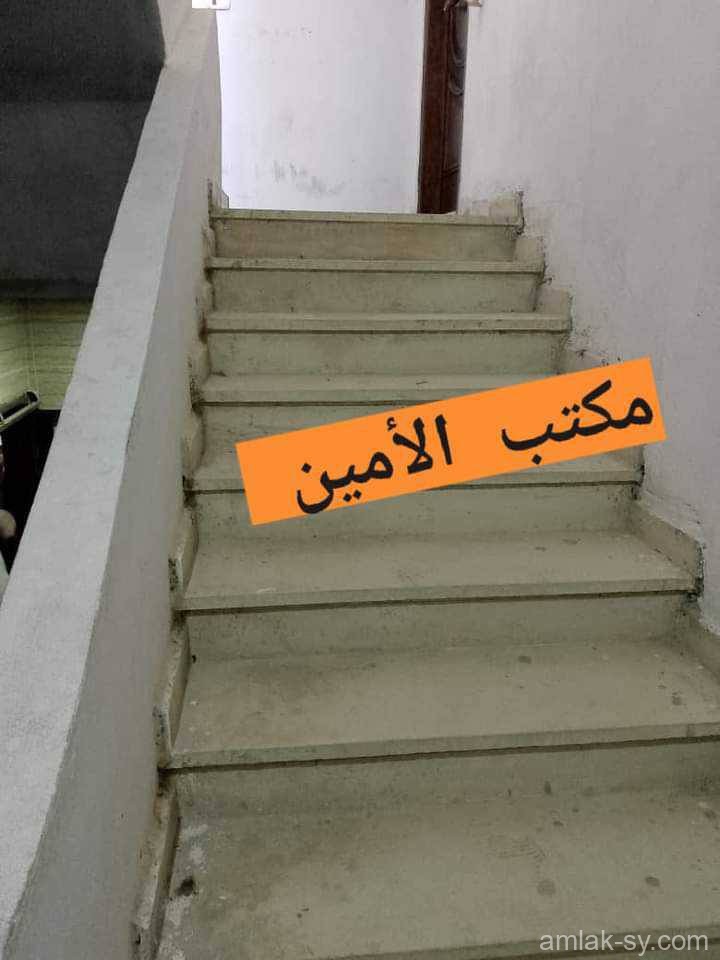 صورة العقار