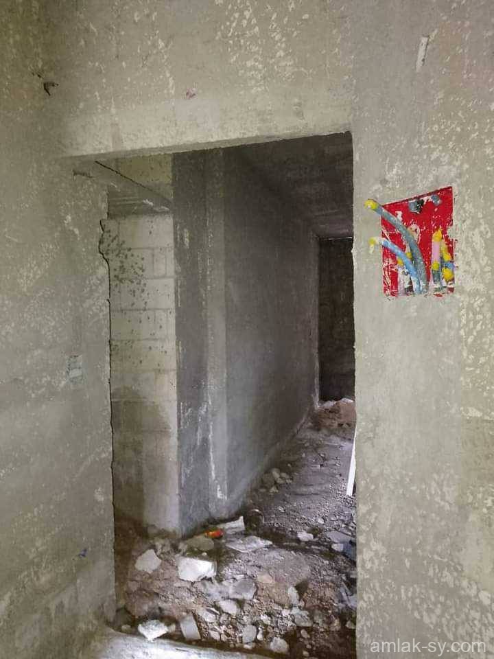 صورة العقار