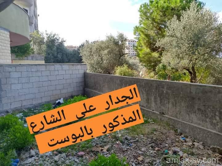 صورة العقار