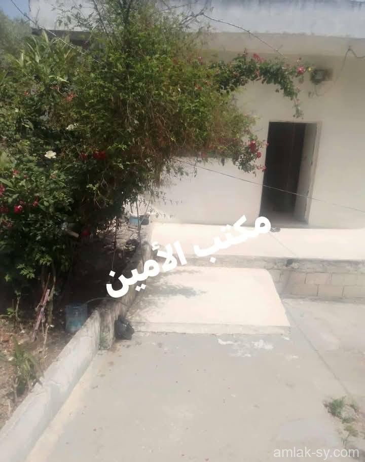 صورة العقار