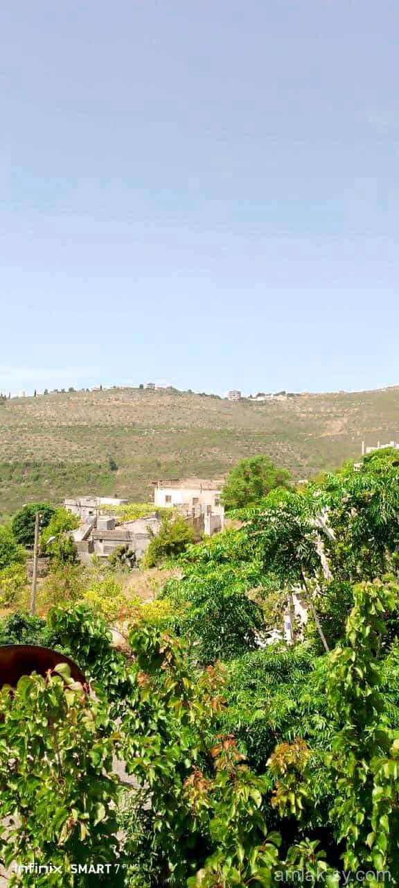صورة العقار