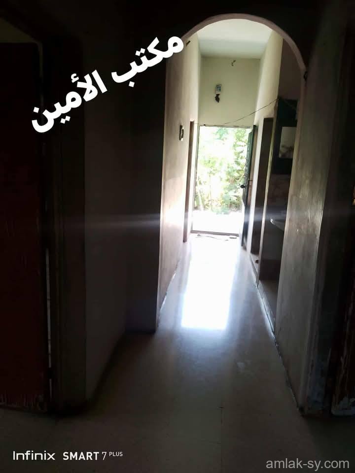 صورة العقار