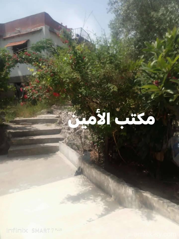 صورة العقار