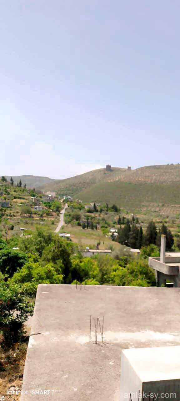 صورة العقار