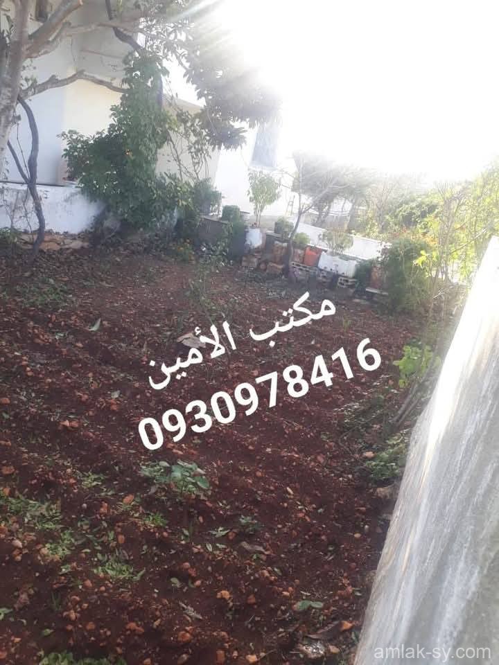 صورة العقار