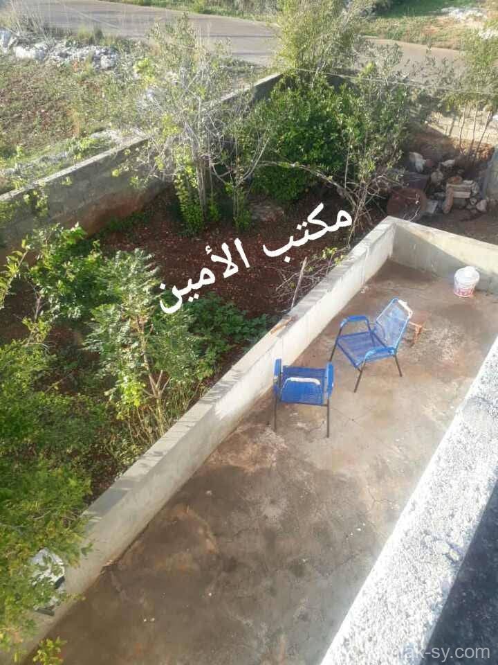 صورة العقار