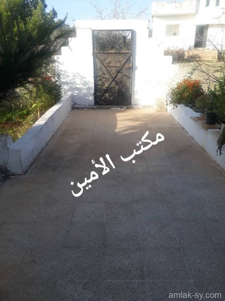 صورة العقار