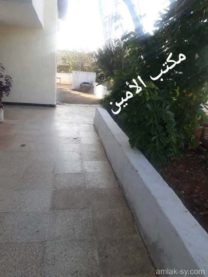 صورة العقار