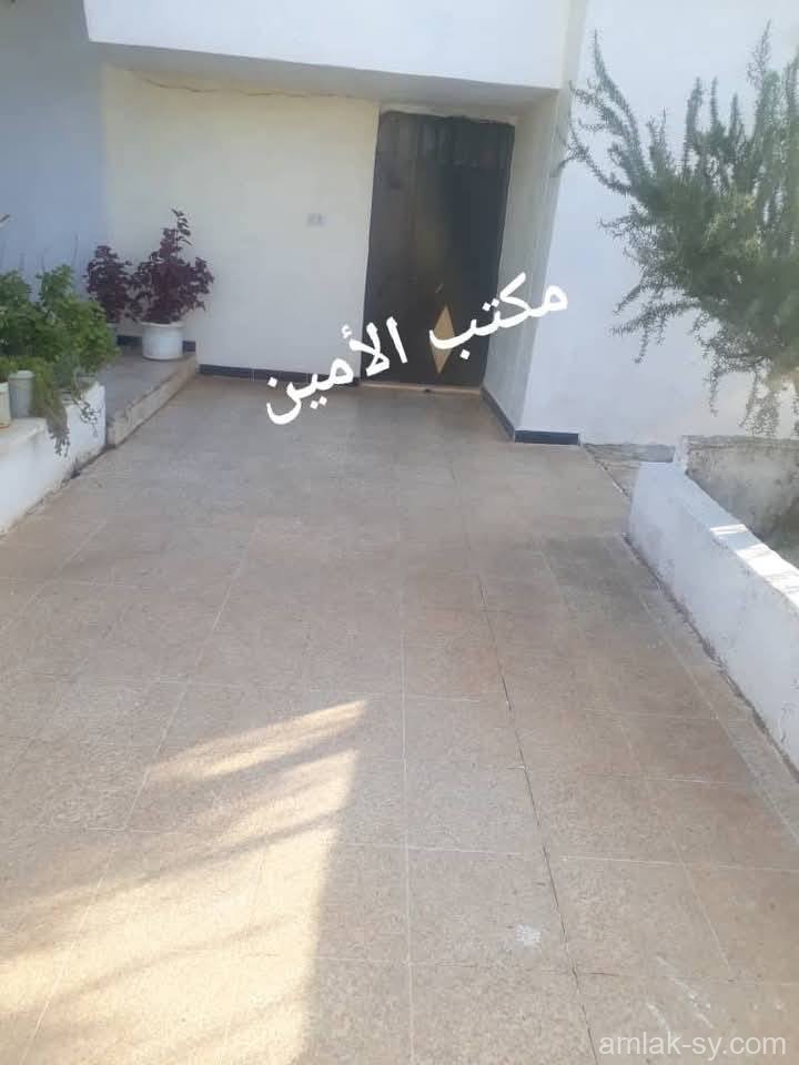 صورة العقار