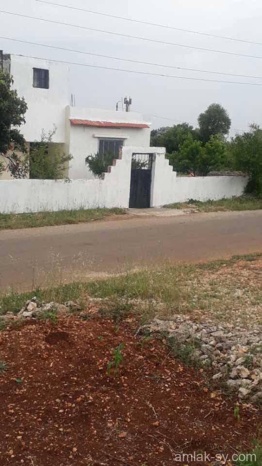 صورة العقار