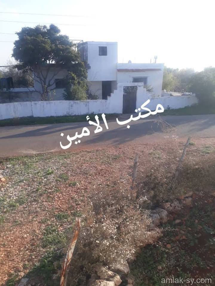 صورة العقار