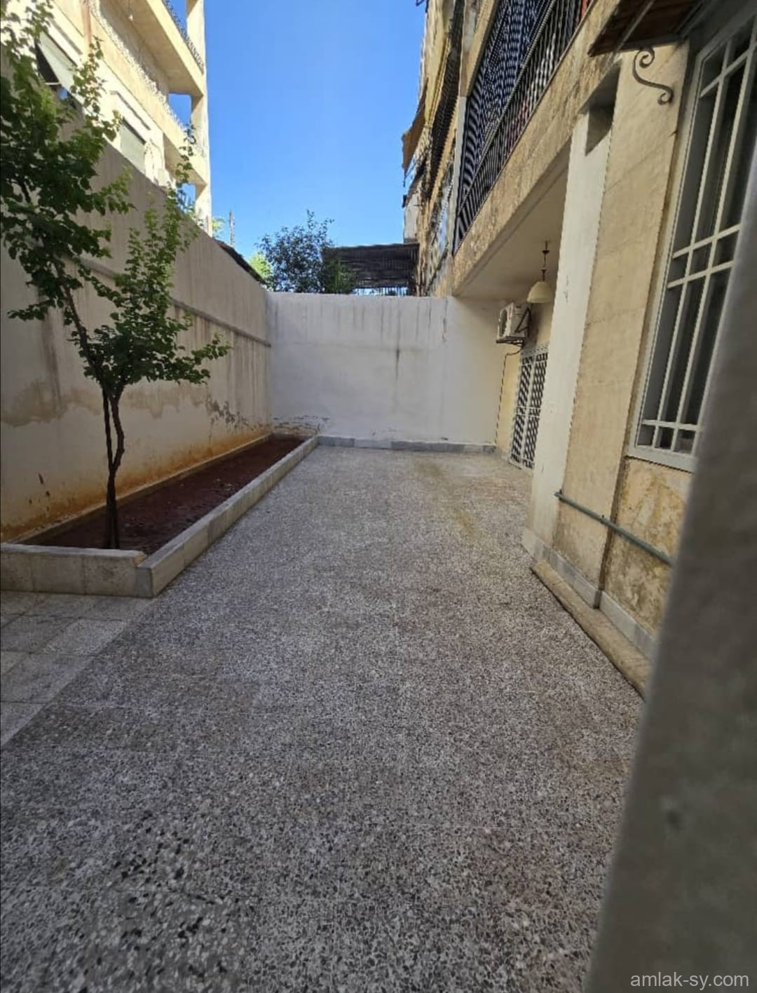 صورة العقار
