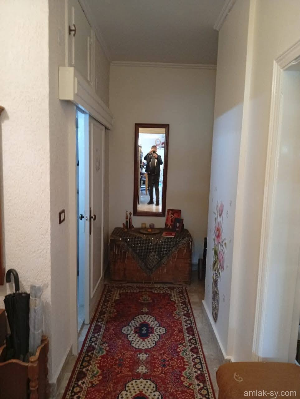 صورة العقار