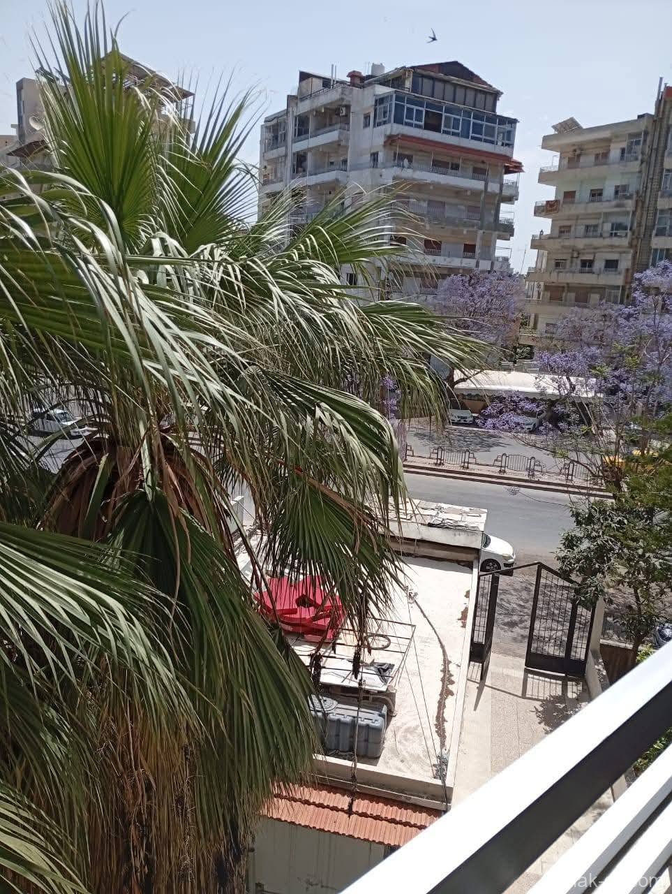 صورة العقار