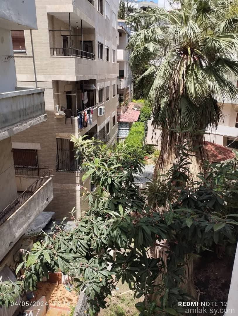 صورة العقار