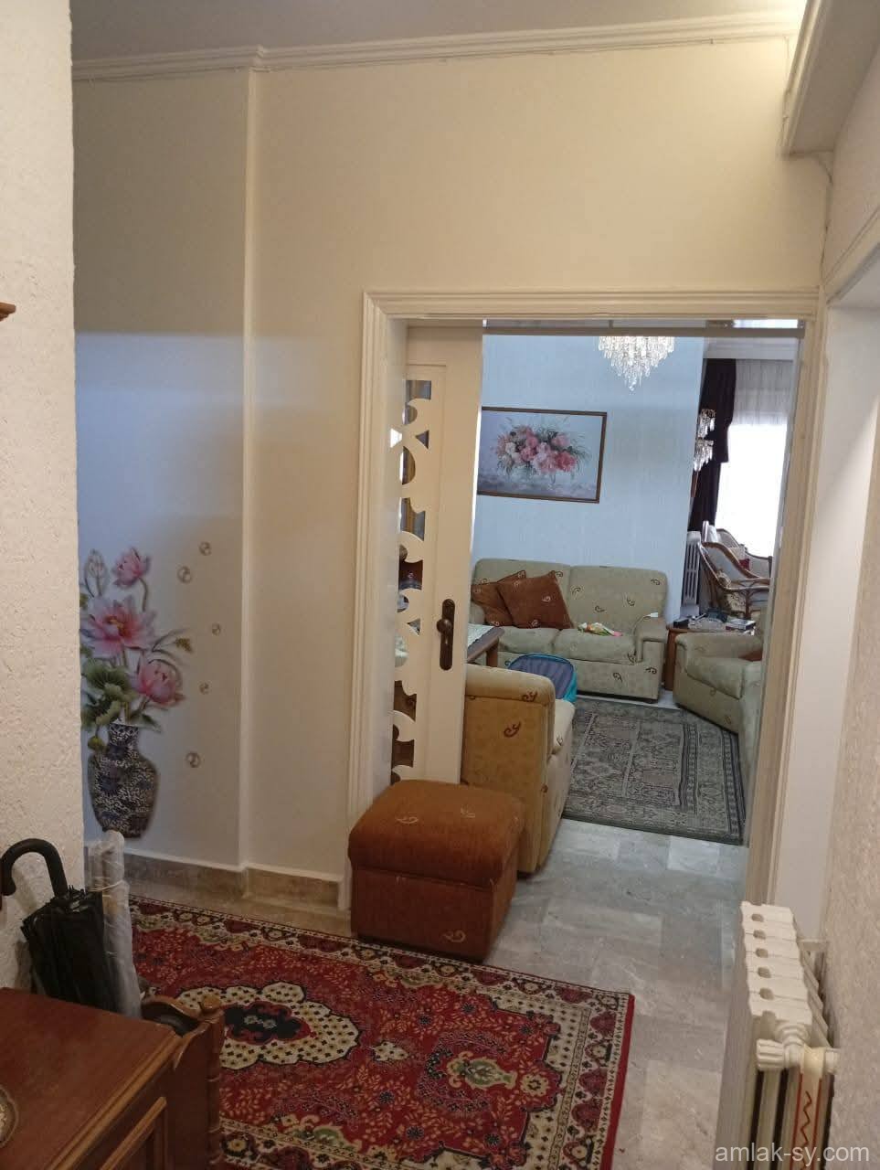 صورة العقار