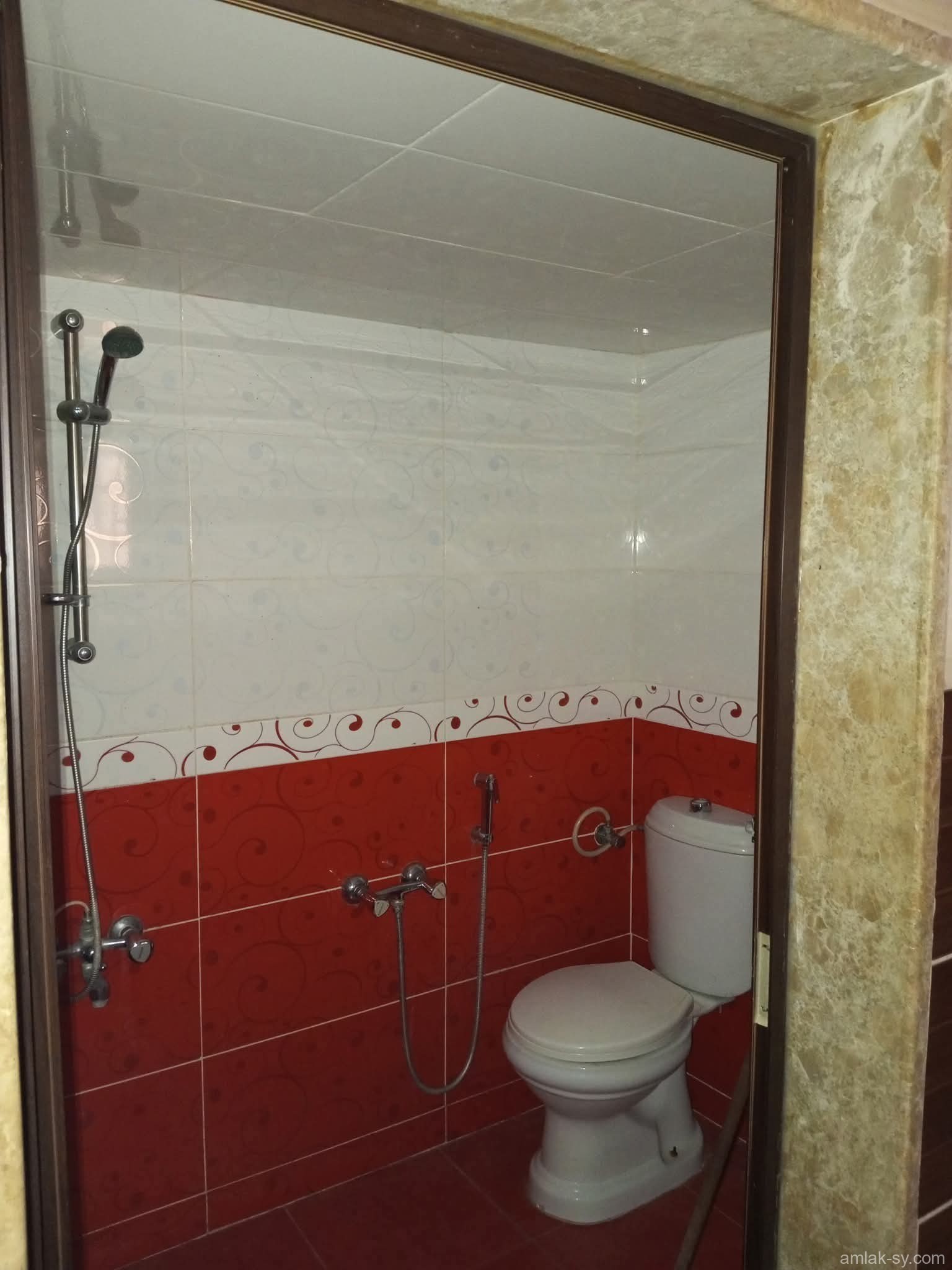 صورة العقار